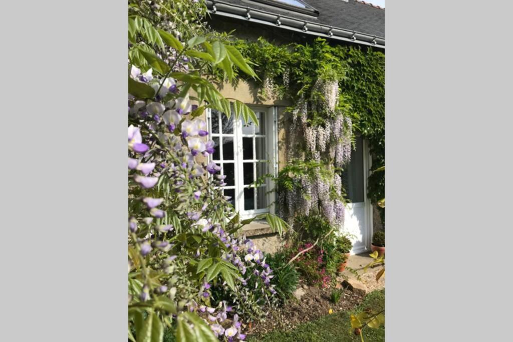 Walnut Tree Gite Brittany Villa Boderel Exterior photo