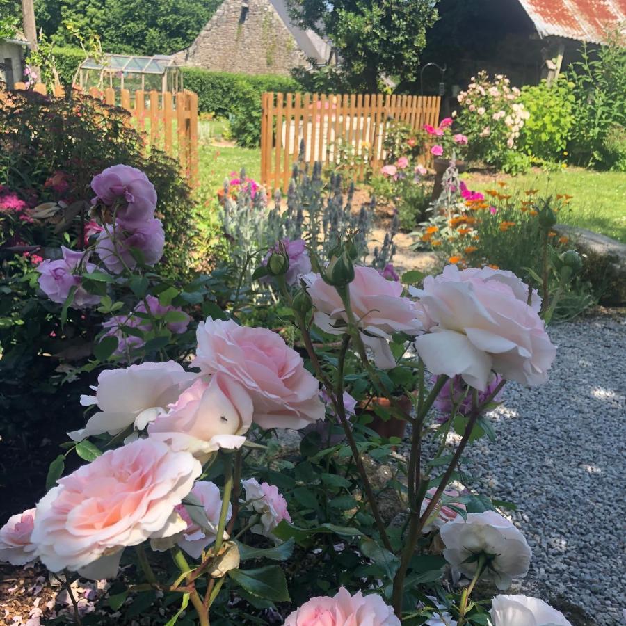 Walnut Tree Gite Brittany Villa Boderel Exterior photo